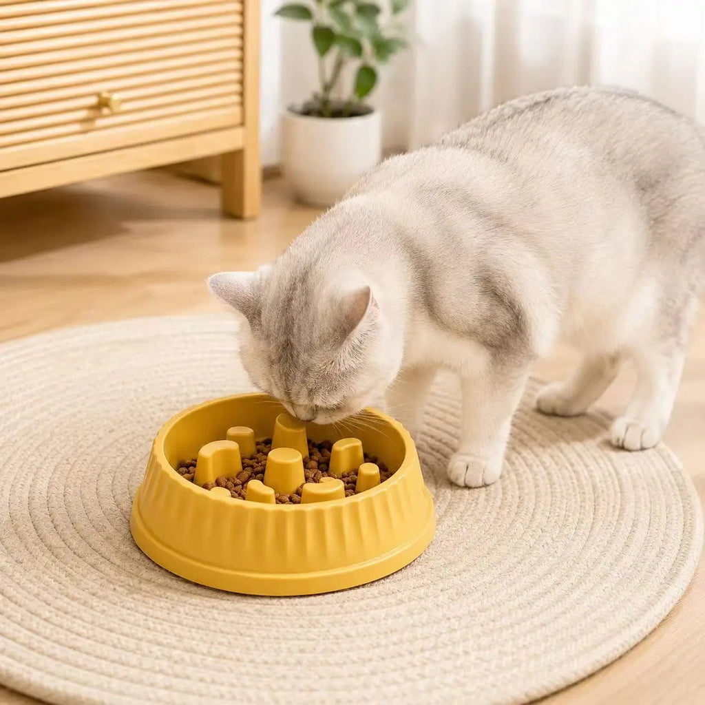 Pet Slow Feeder Bowl – Non-Slip Puzzle Dish for Dogs & Cats Alsonic UK