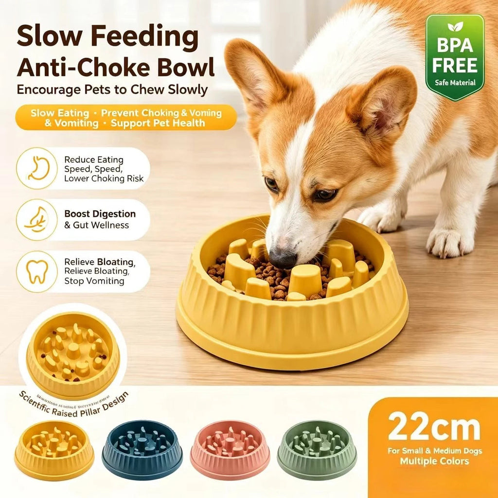 Pet Slow Feeder Bowl – Non-Slip Puzzle Dish for Dogs & Cats Alsonic UK