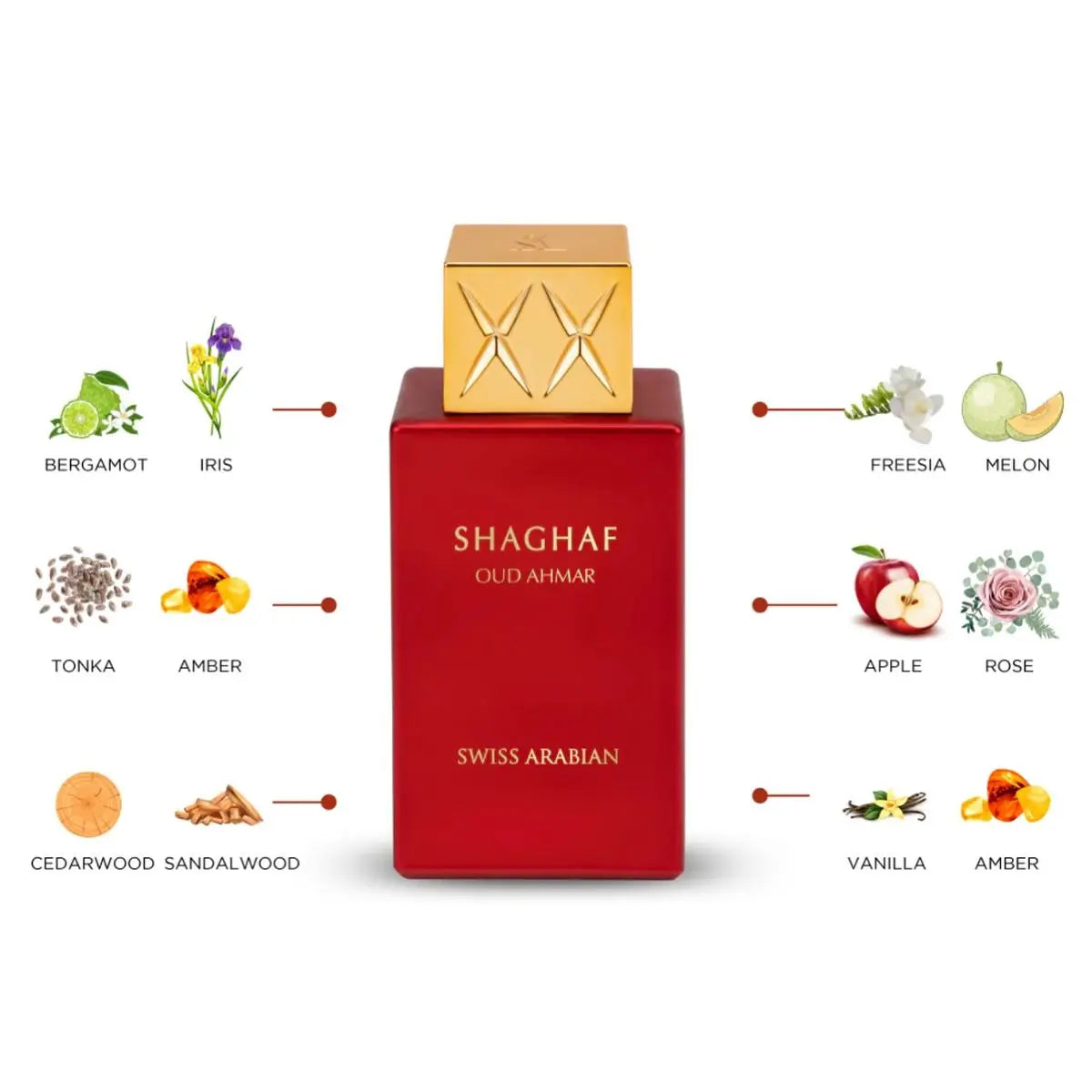 Swiss Arabian Shaghaf Oud Ahmar EDP 2.5 oz – Unisex Oud Fruity Fragrance HorizonHub Store