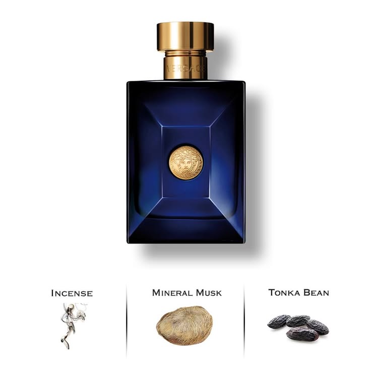Versace Dylan Blue Pour Homme Eau de Toilette Spray 100ml / 3.4oz for Men