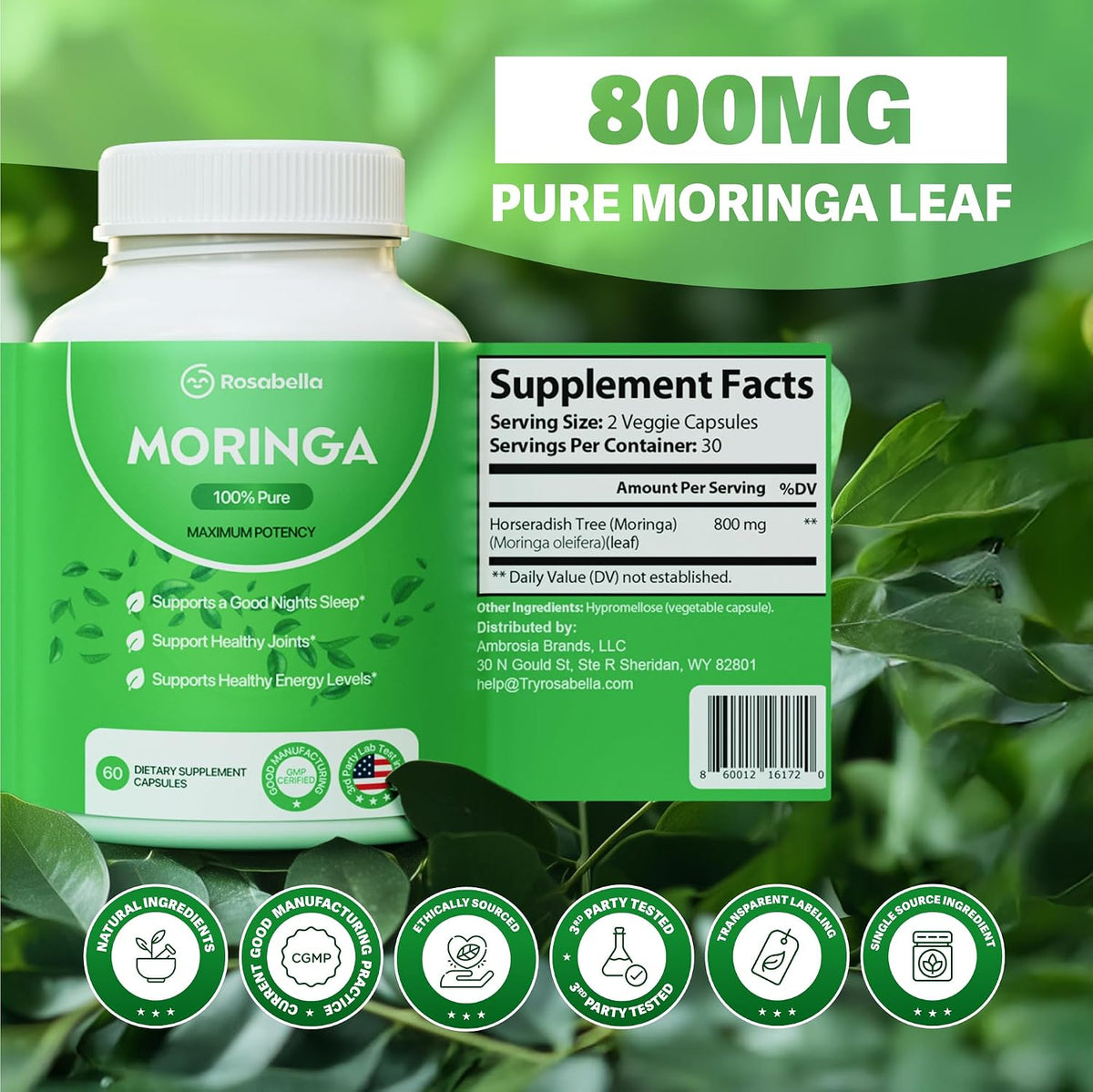 Moringa Capsules 60 Count | Pure Moringa Powder Supplement Stylish Shop